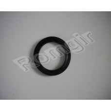 Semering butuc a75x100-10